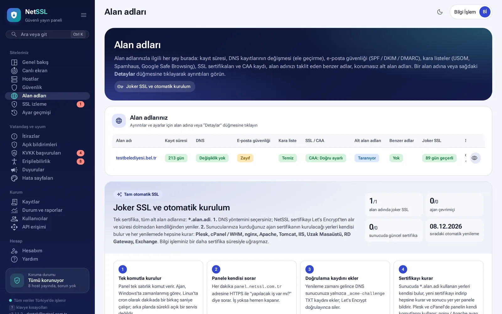 Alan adları tablosu: kayıt süresi, DNS, e-posta güvenliği, kara liste, SSL ve benzer adlar