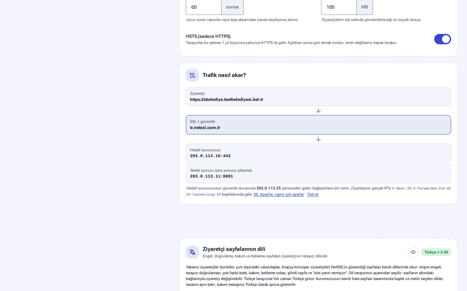 Yayın ayarlarında trafiğin akışı: ziyaretçi, NetSSL, hedef ve yedek sunucu