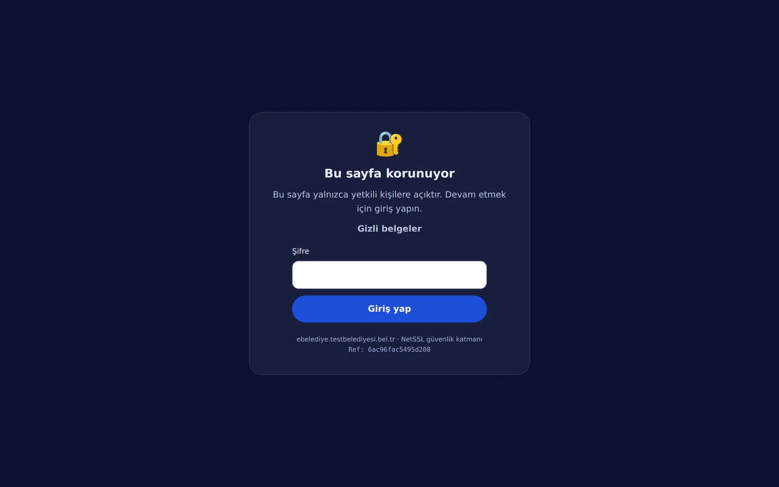 The password page as the visitor sees it
