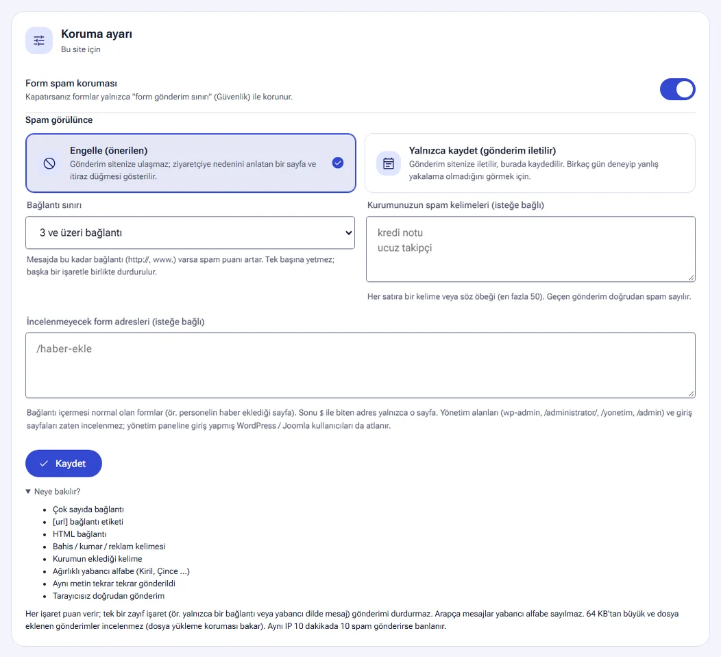 Form spam koruması: koruma ayarı ve spam işaretleri