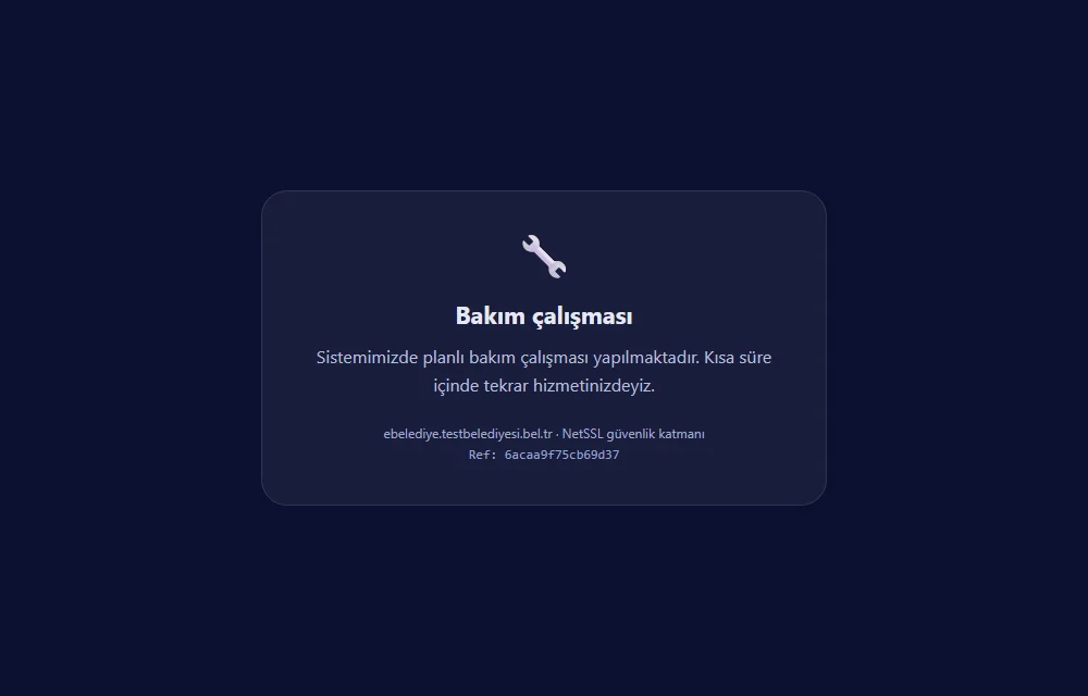 The page visitors see while maintenance mode is on