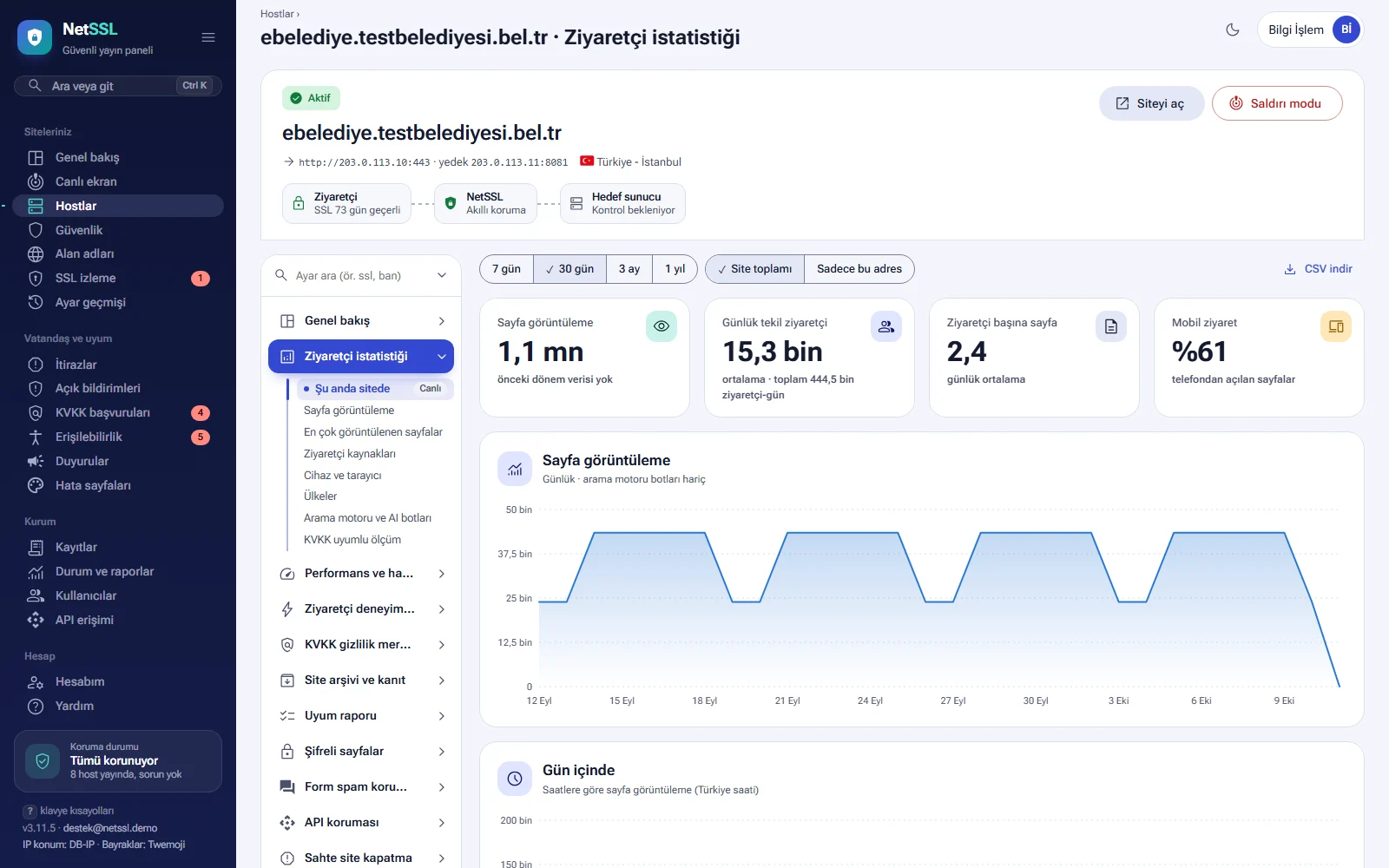 Visitor statistics: summary boxes and daily page views