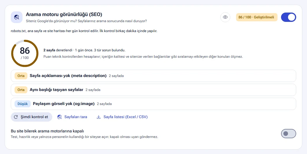 Arama motoru görünürlüğü: puan ve bulunan sorunlar